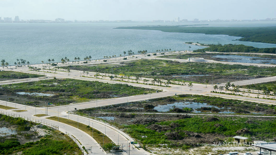 $!Ya pasó un año y la devastación en Tajamar sigue, las especies siguen en riesgo y nadie pagó el daño