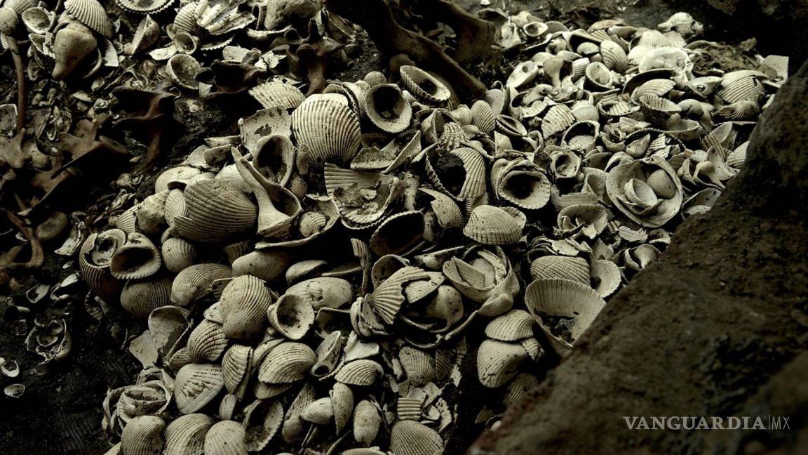 $!Arqueólogos hallan el más grande depósito de estrellas de mar descubierto, hasta ahora, en el Templo Mayor.Cuartoscuro/INAH