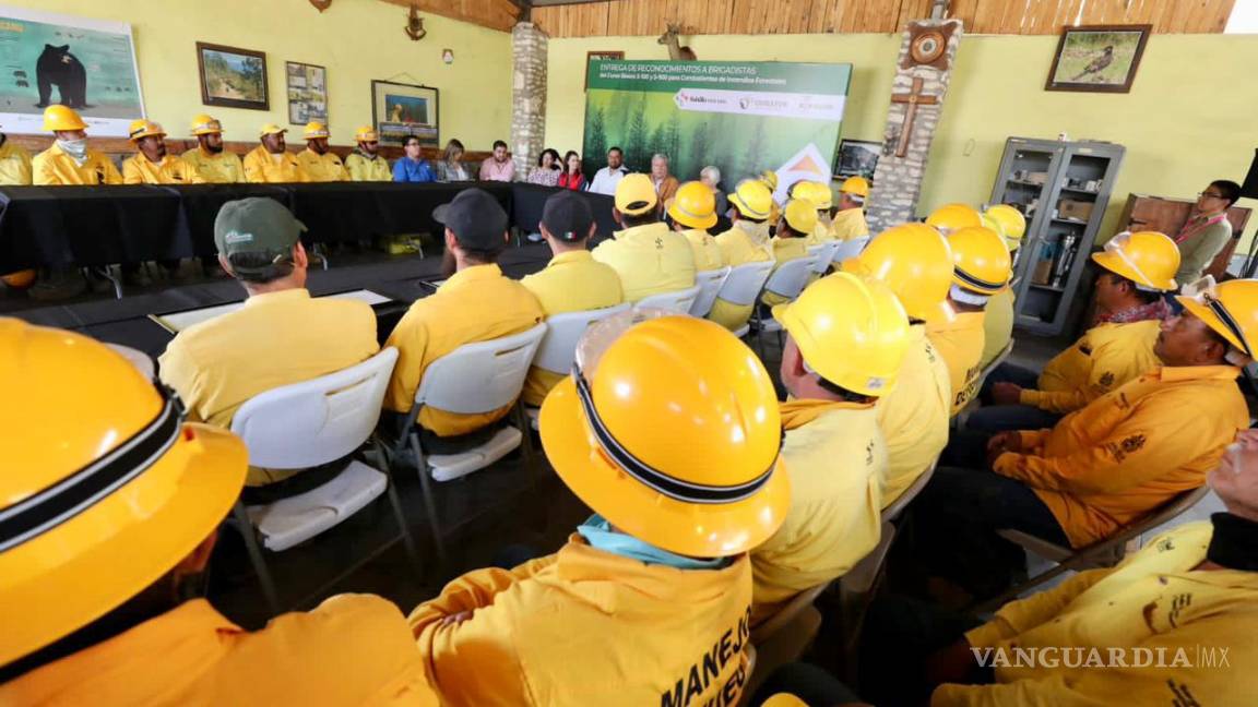 Crearán brigada especial en combate de incendios forestales en Saltillo