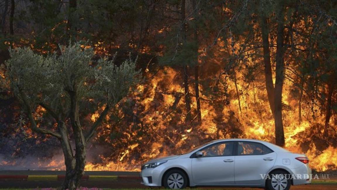$!Evacúan a miles de personas por incendio forestal en Israel