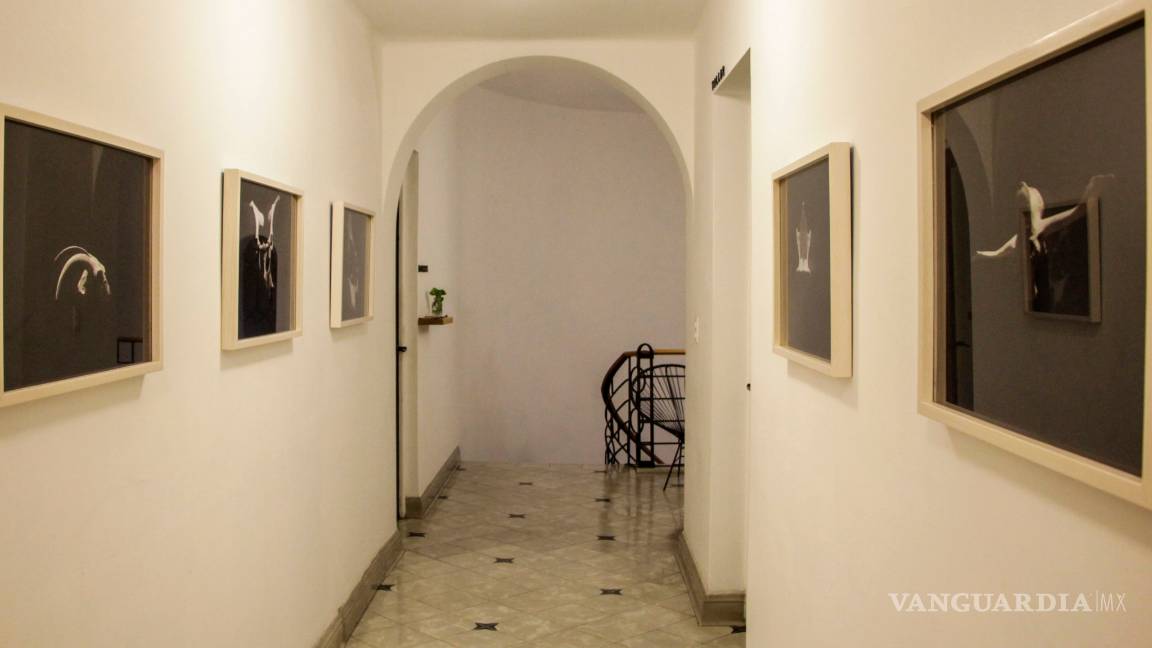 $!Diálogos entre el paisaje y su memoria