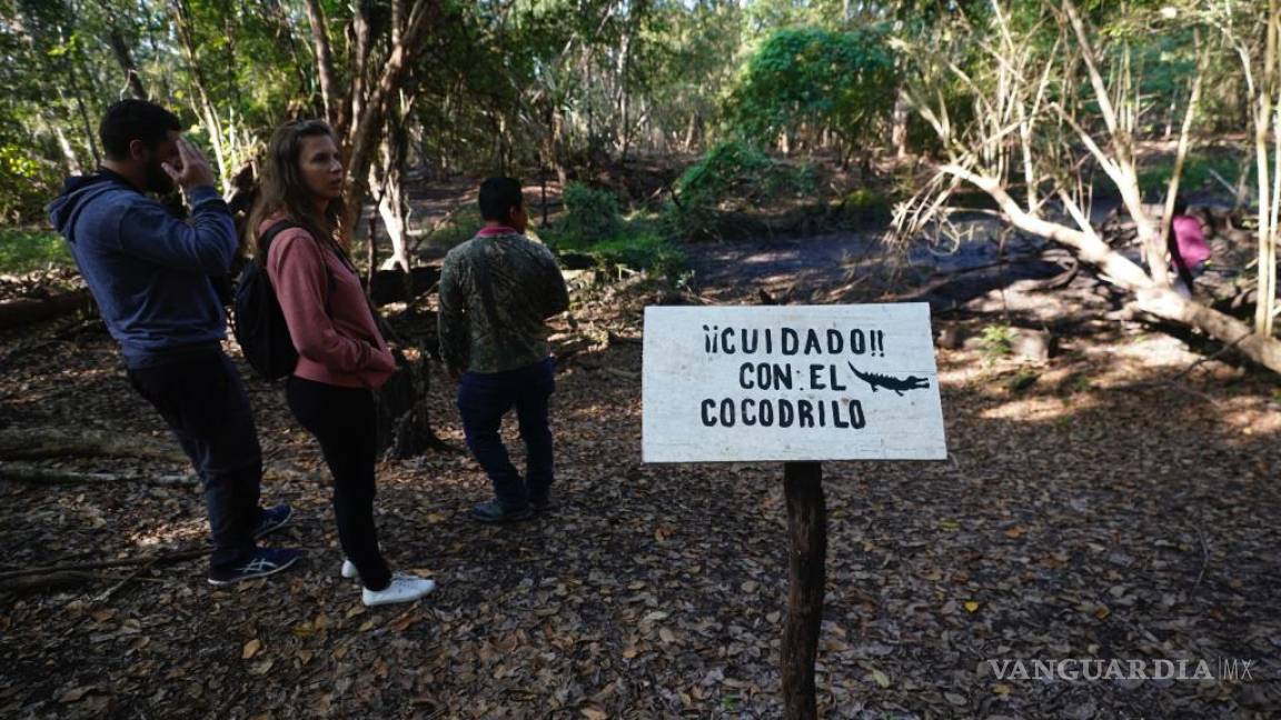 La selva de Calakmul, el nuevo foco rojo del Tren Maya