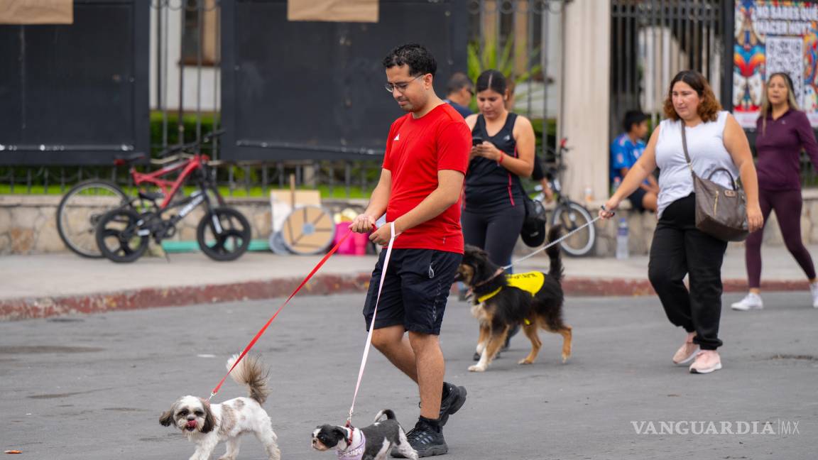 $!La Ruta Recreativa reunió a deportistas, familias y mascotas en una mañana fresca ideal para la actividad física y la convivencia.