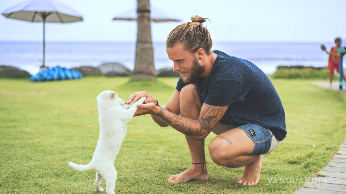 $!‌Cuando se trata de elegir un compañero de vida, “tenemos tres sistemas cerebrales muy básicos”.