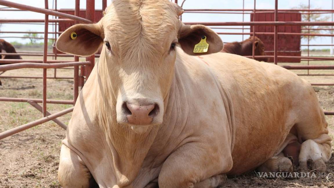 Acuña: Rehabilitan estación cuarentenaria y preparan visita de inspección de EE.UU.