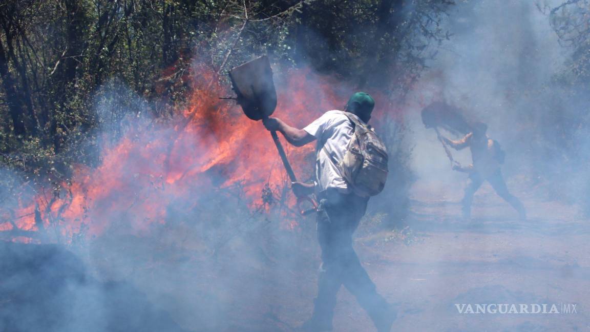 Imponen otro récord incendios forestales