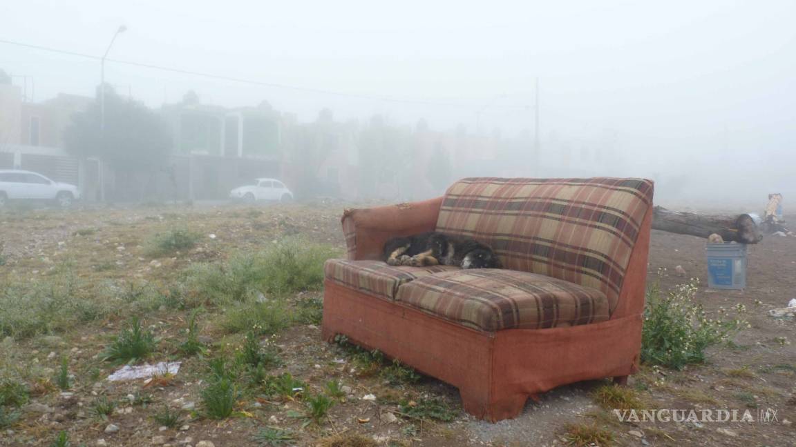 $!Así es la vida en la Ciudad Mirasierra