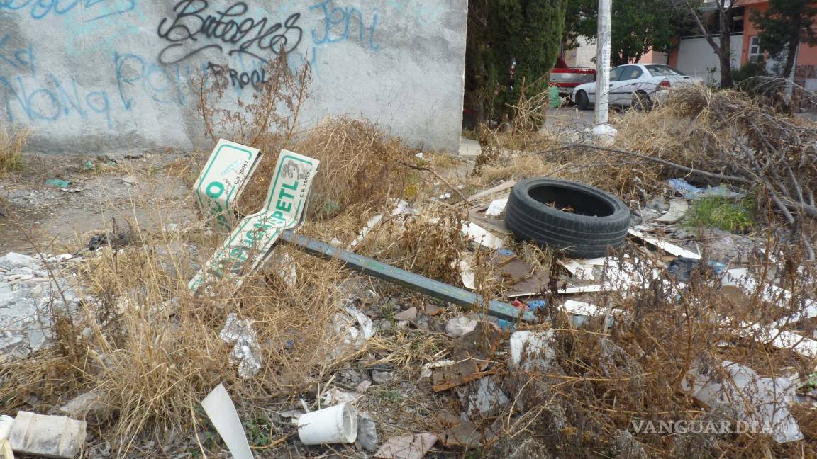 $!Así es la vida en la Ciudad Mirasierra