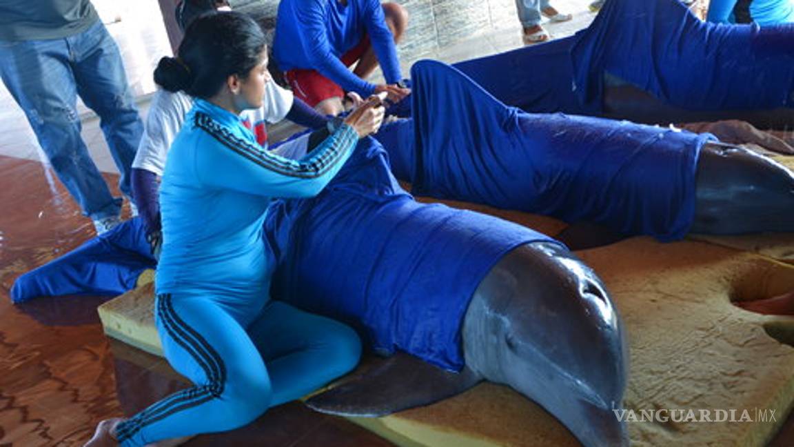 $!Irma deja en Cuba derrumbes y 10 muertos