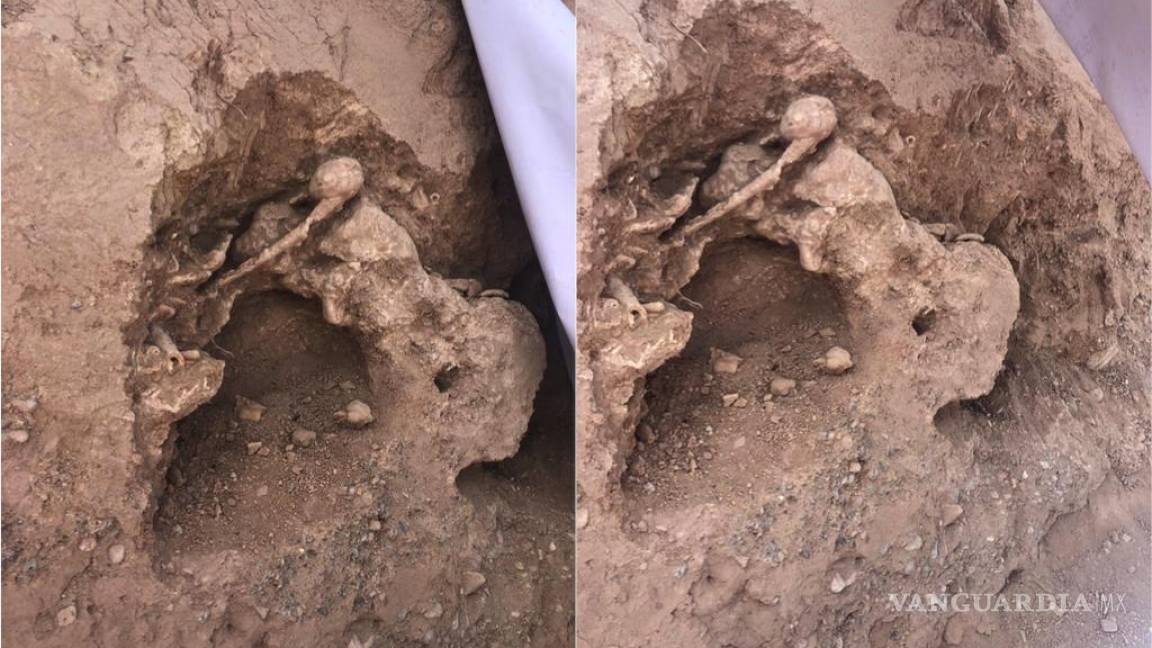 Desmienten hallazgo de huesos de dinosaurio en Saltillo
