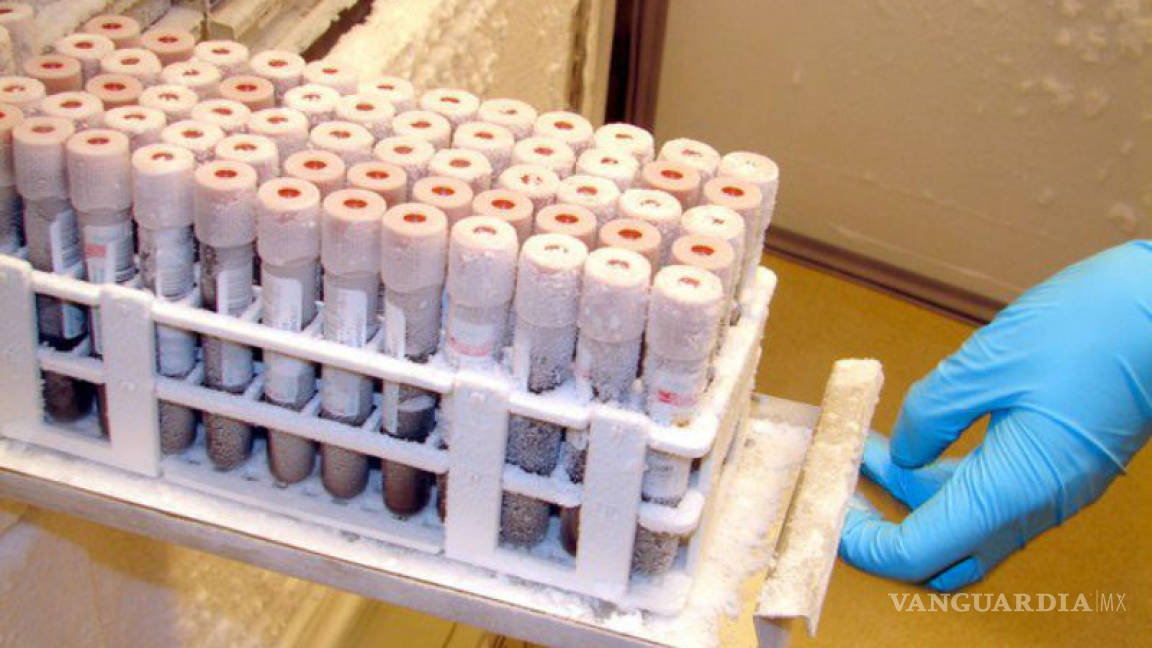 Profepa localiza seis kilos de tubos de ensayo manchados con sangre en Cintalapa, Chiapas