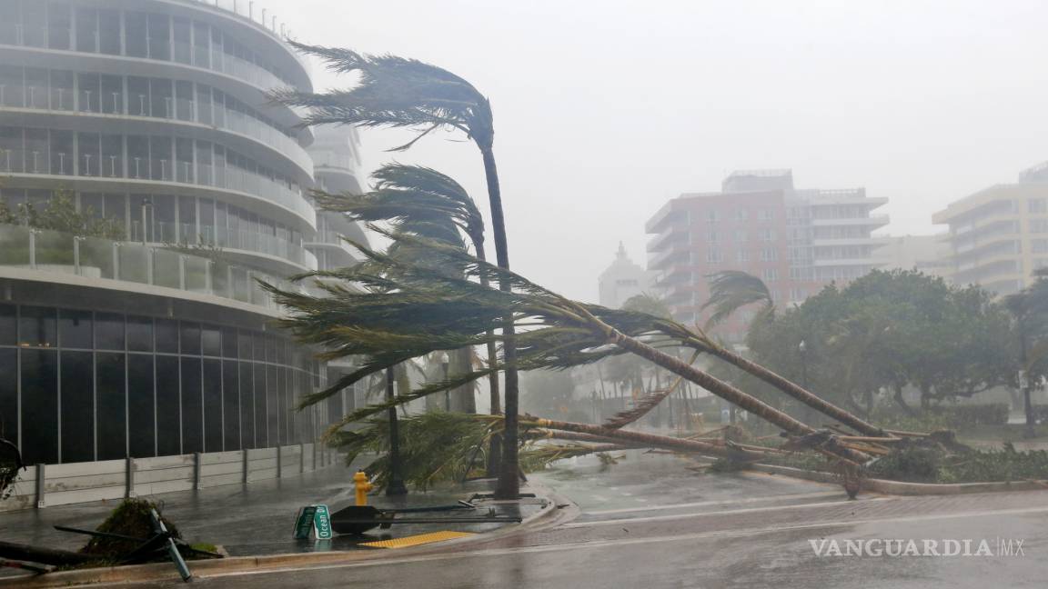 Se desploma grúa enorme en Miami por ventiscas de Irma