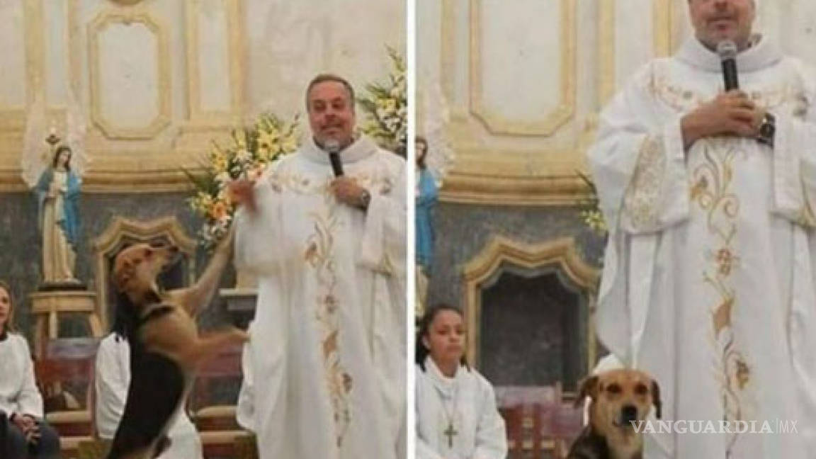 Sacerdote lleva perros a sus misas para que fieles los adopten; &quot;Son de Dios&quot;