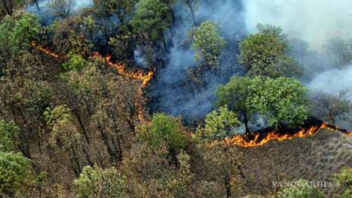 Controlan incendio en Jalisco, se quemaron más de 2 mil hectáreas