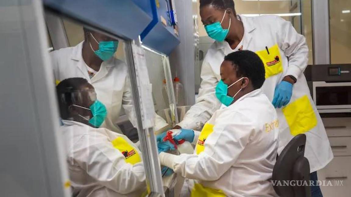 Ómicron es ‘presagio’ del fin de la fase epidémica, señalan expertos de Sudáfrica