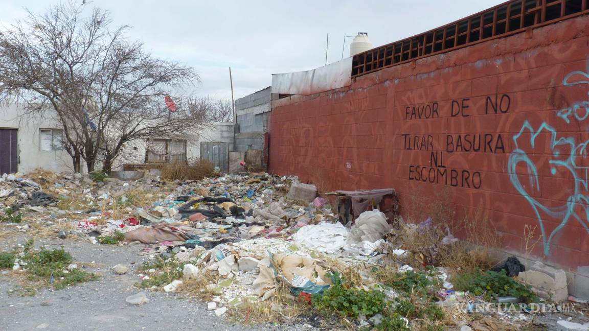 $!Así es la vida en la Ciudad Mirasierra