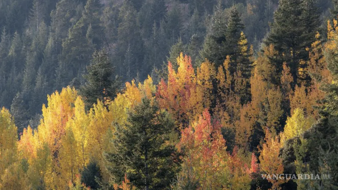 $!Sierra de la Marta ofrece paisajes montañosos, formaciones rocosas e inmensos árboles color naranja.