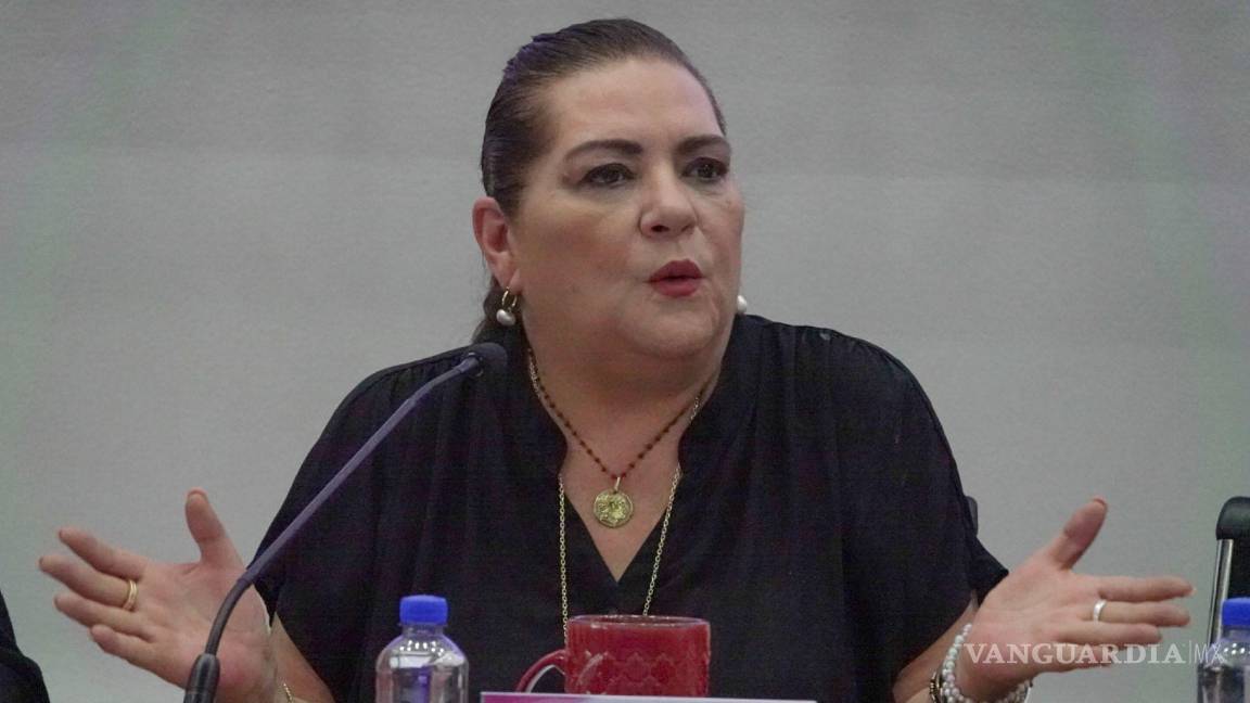 Revisará INE perfiles dentro de su competencia: Taddei