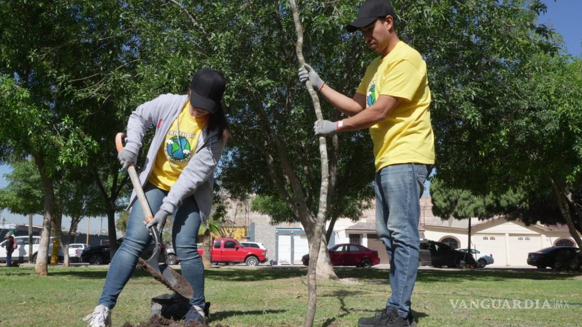 Plantan 2 mil 500 árboles en Torreón con apoyo de vecinos