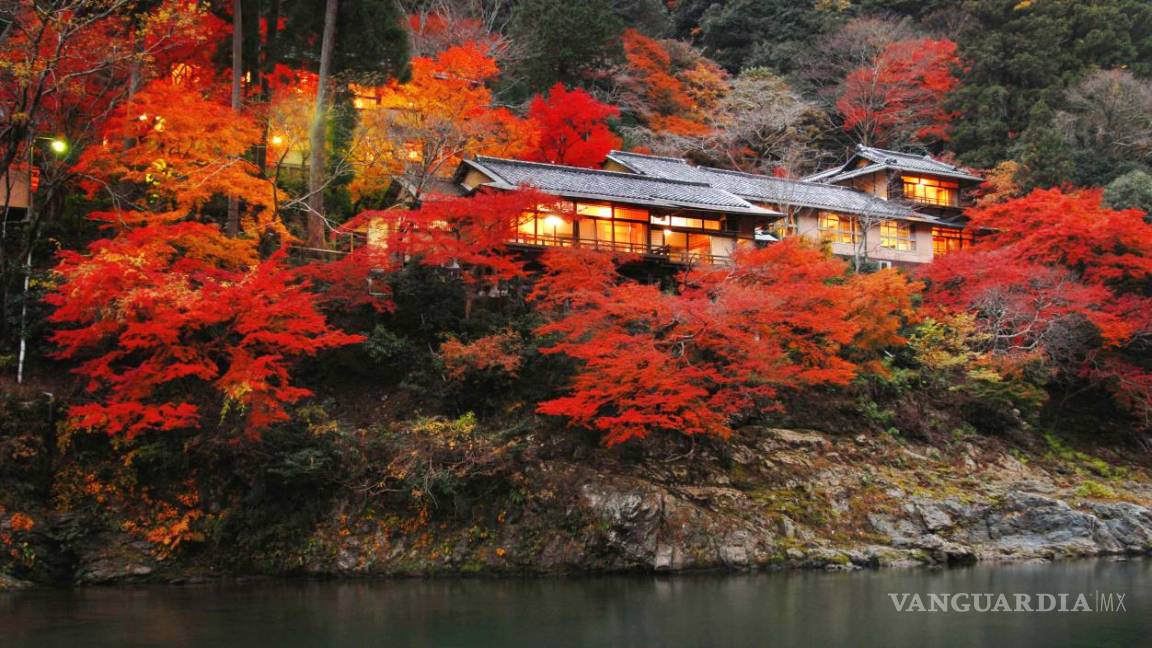 $!Alojamientos ecológicos, remansos de paz... y lujo