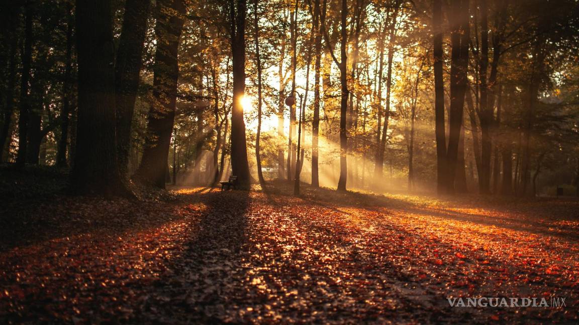 $!Un ritual consiste en recoger las hojas o flores muertas que encontremos en nuestro camino.