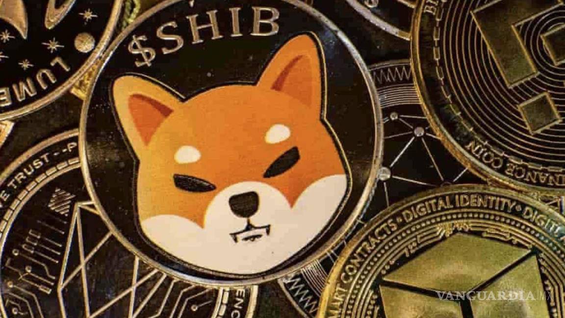 Shiba Inu, la nueva criptomoneda que superó brevemente a la dogecoin