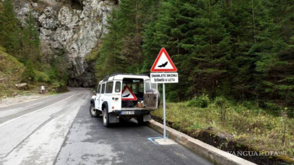 $!Insólita señal de tráfico advierte a conductores en Bosnia del vuelo de murciélagos