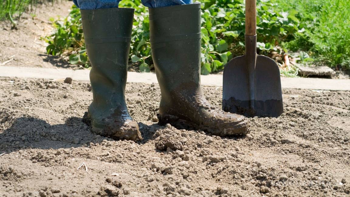 $!Científicos de la UNAM crean bolsas biodegradables
