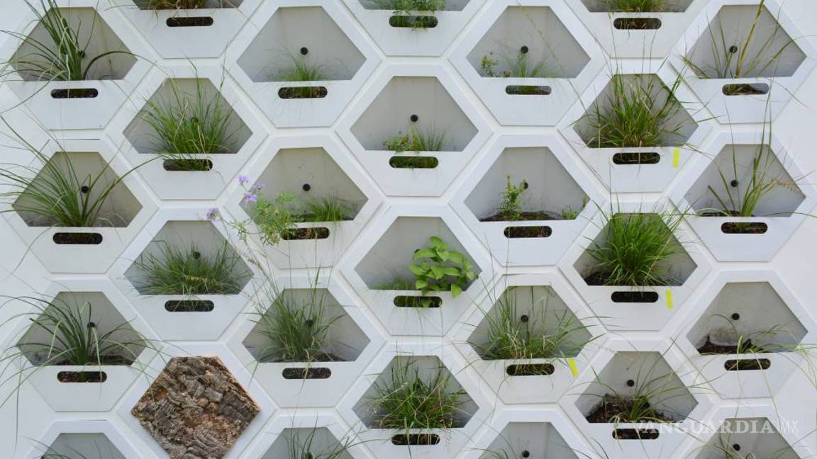 $!Pon a tu casa una piel verde