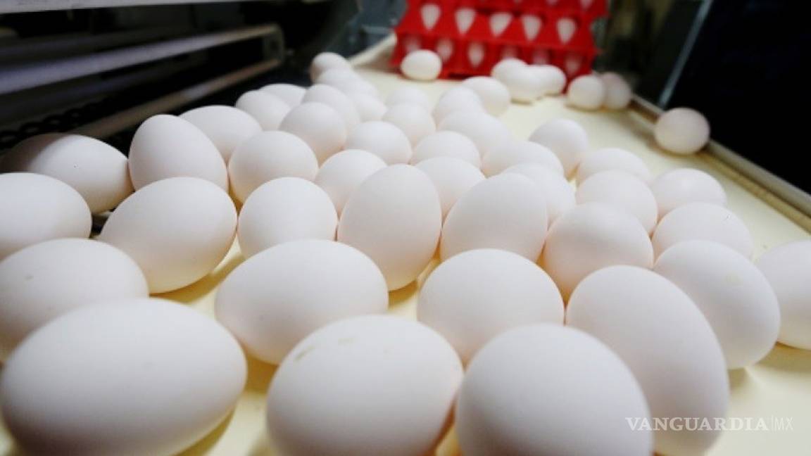 Revisarán aumento injustificado en precios de huevo, tortilla y pollo
