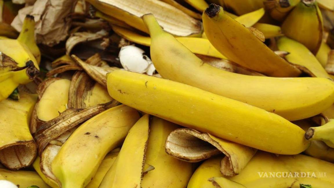 Dieta de… ¿cáscara de plátano?