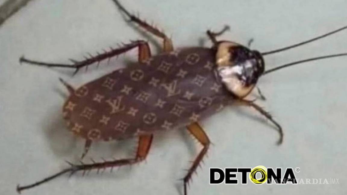 $!En las casas de éstos, hasta las cucarachas son de Marca.