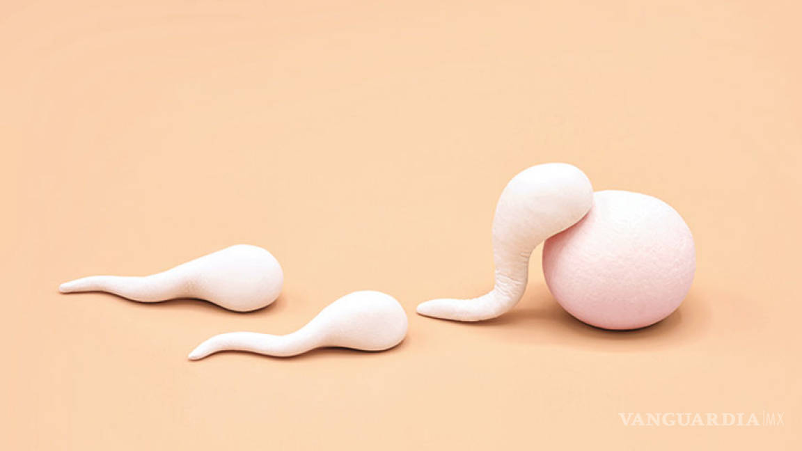 La fuga del esperma
