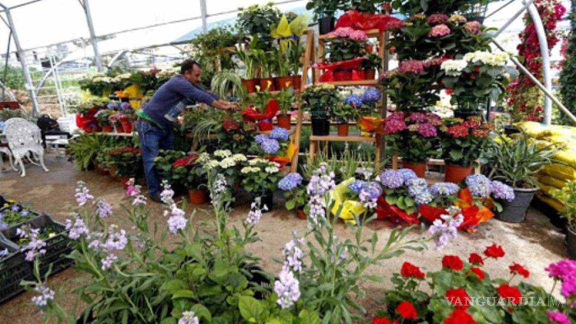 Les va mal a los comerciantes de flores en Torreón; prevén cierres
