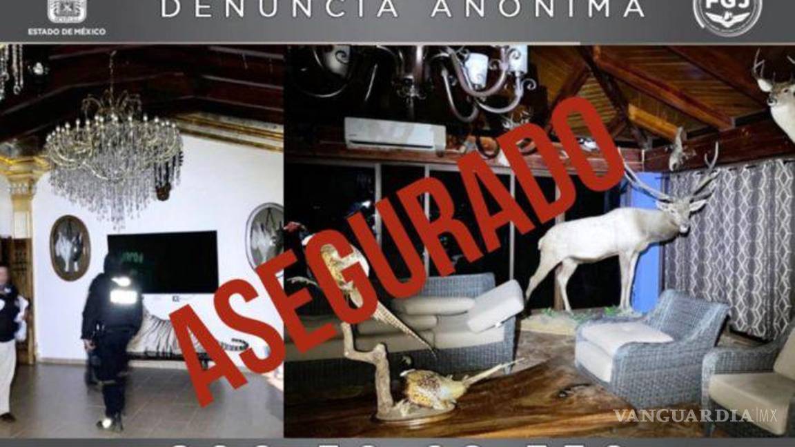 $!Aseguran cuatro mansiones de lujo del narco, con lagos y animales exóticos, en el Edomex
