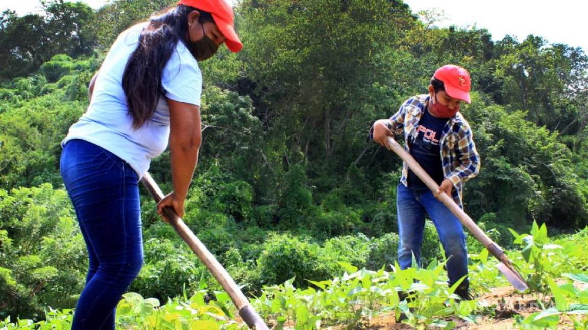 Se borran avances del mercado laboral por pérdida de empleos en junio; aumentó el trabajo precario