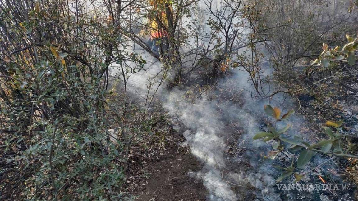 ‘Pirómano’ causa incendio en Sierra de Zapalinamé en Saltillo; fue visto quemando leña