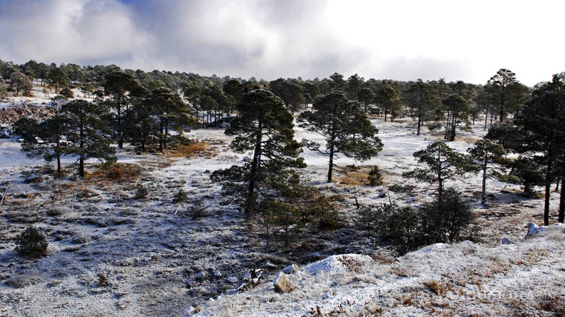 Se registran 16 grados bajo cero en La Rosilla, Durango