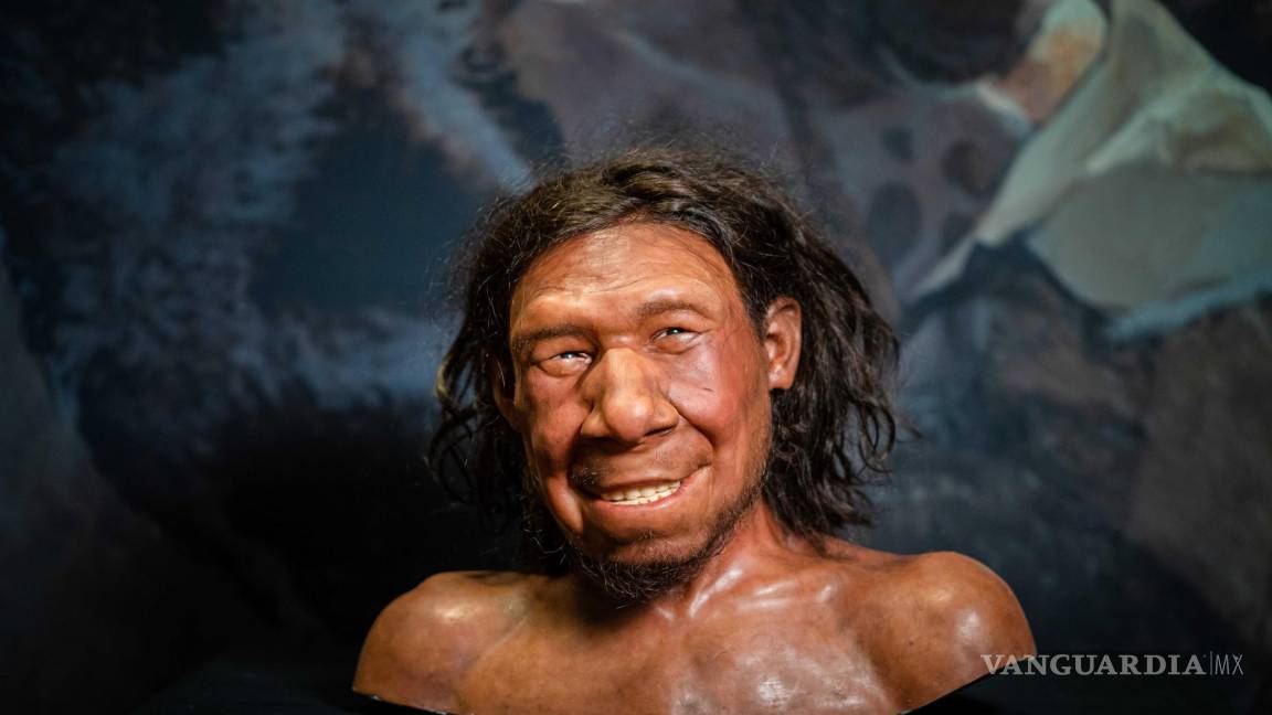 Reconstruyen primer rostro de un neandertal en PB