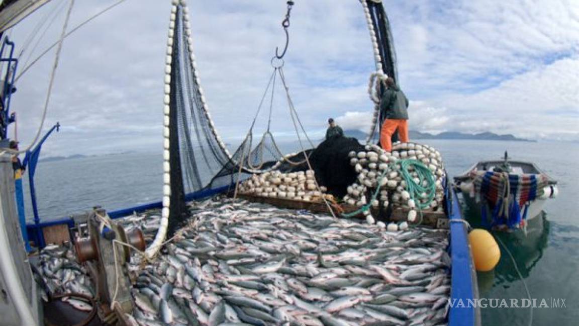Denuncian que México incumple obligaciones ambientales en tema pesquero establecidas en el T-MEC