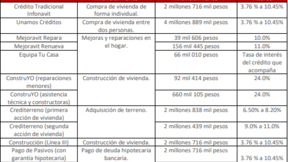 $!Además de adquirir una casa, ¿para qué te puede servir un crédito del Infonavit?