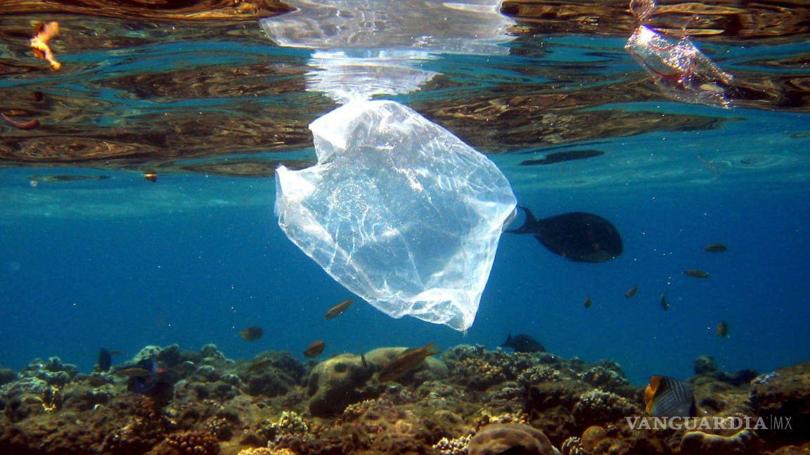 Océano contiene 150 millones de toneladas de plástico; cinco países pueden limpiarlo