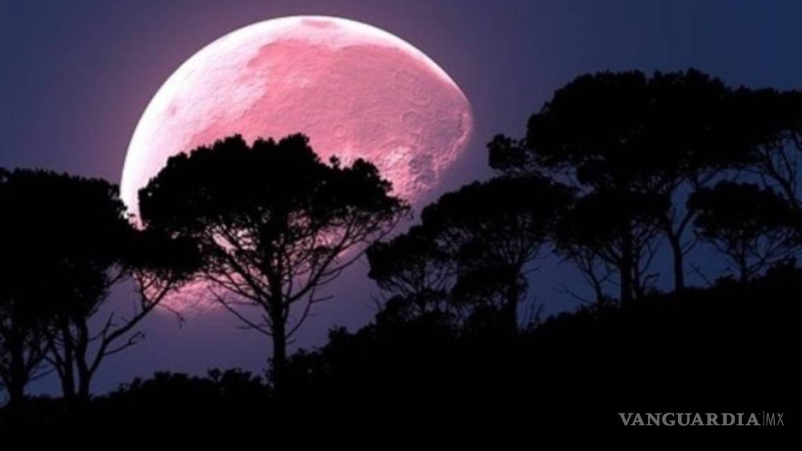 ¿Podrá verse en México el fenómeno astronómico de la luna llena rosada?