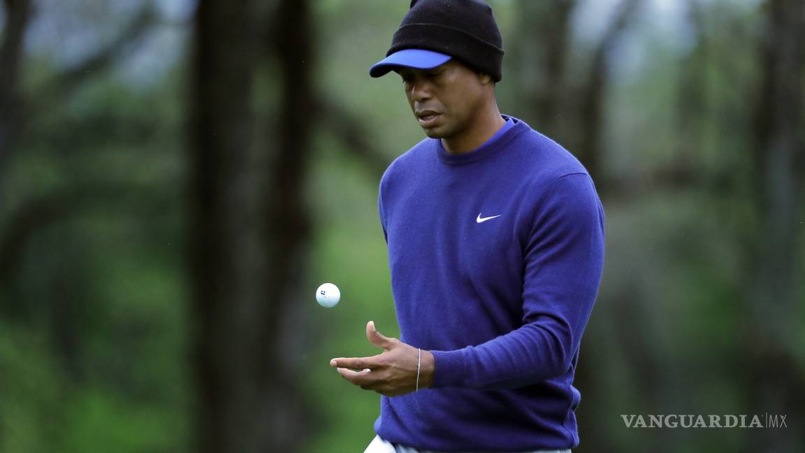 Tiger Woods es acusado de asesinar a uno de sus empleados