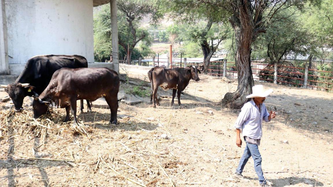 Actividad económica tuvo una caída en el mes de agosto: Inegi