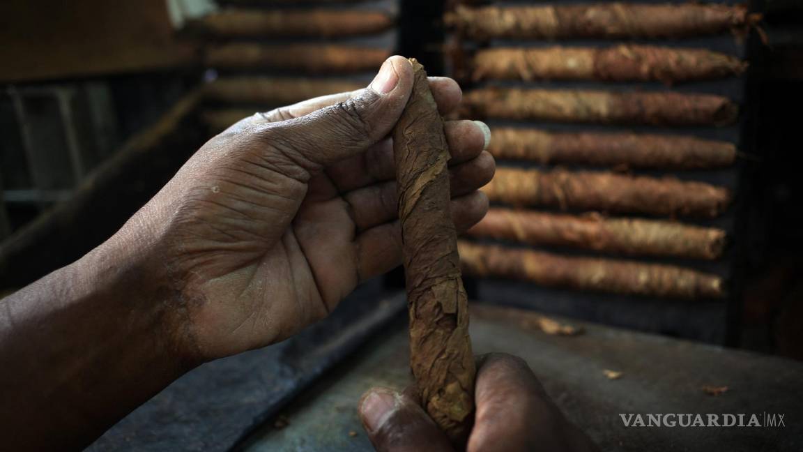 $!En la imagen, un torcedor trabaja en la confección de un tabaco, en la fábrica de puros La Corona, en La Habana (Cuba).