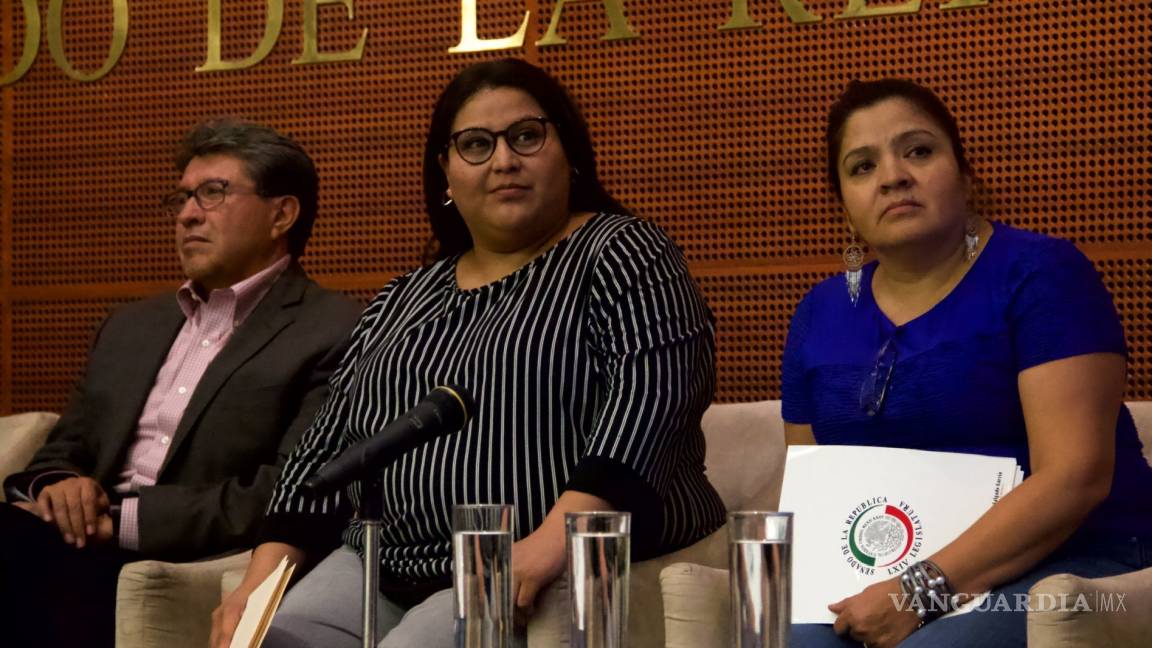 Reconoce la senadora Citlalli Hernández que contempla buscar dirigencia de Morena