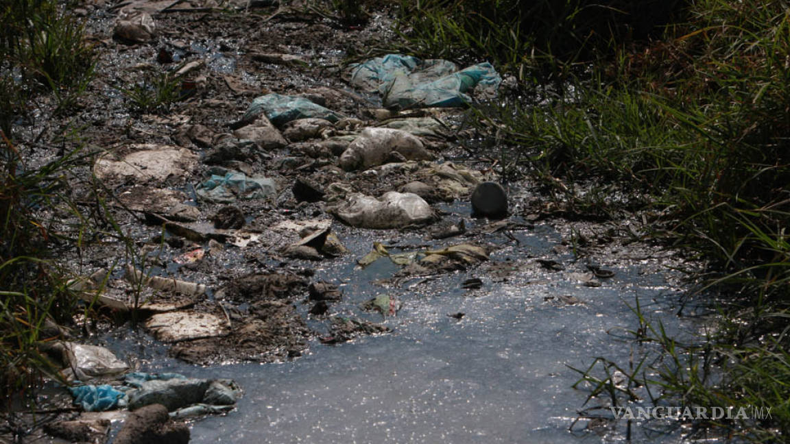 Reclaman a Velasco Coello la destrucción de los humedales chiapanecos