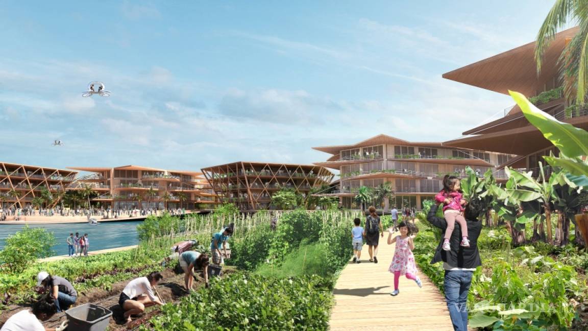 $!Esta es Oceanix City, la ciudad para 10 mil habitantes que está ¡sobre el agua!