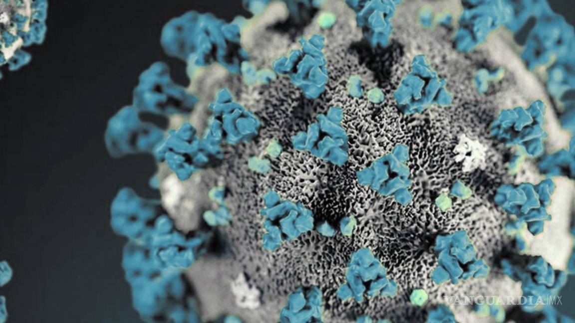 $!El virus SARS-CoV-2, que provoca el COVID-19, puede ser transmitido a través de la placenta de la madre y con ello causar daños cerebrales en el recién nacido.